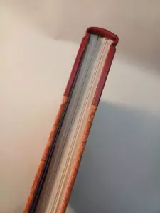 20250701_165657